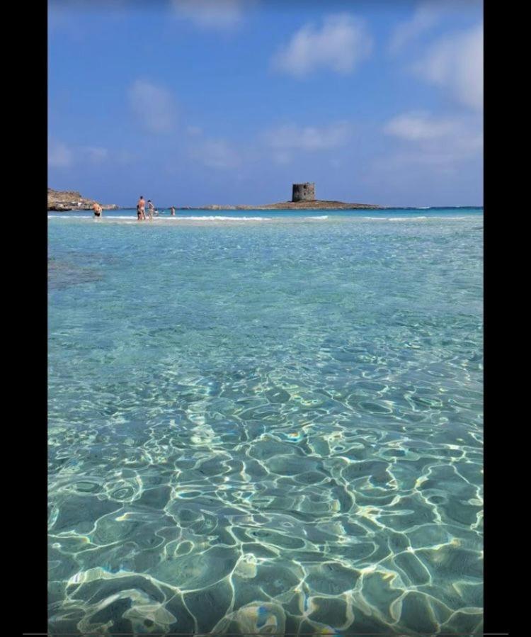 B&B Shardana Sennori Bagian luar foto